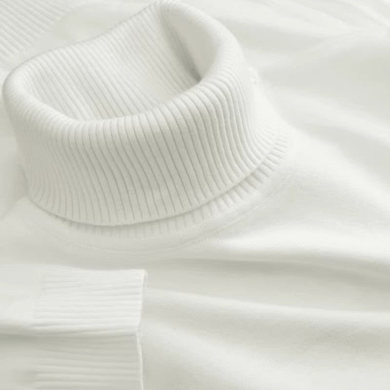 Lyoir | Men’s Knitted Wool Turtleneck Sweater